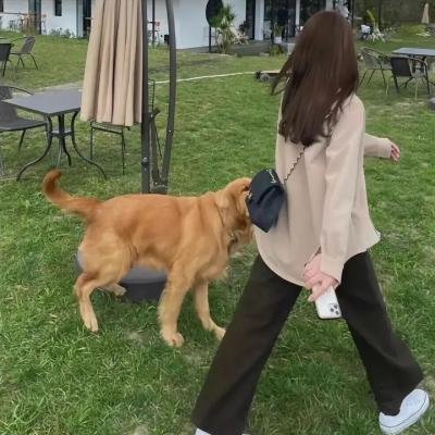 绑票总动员